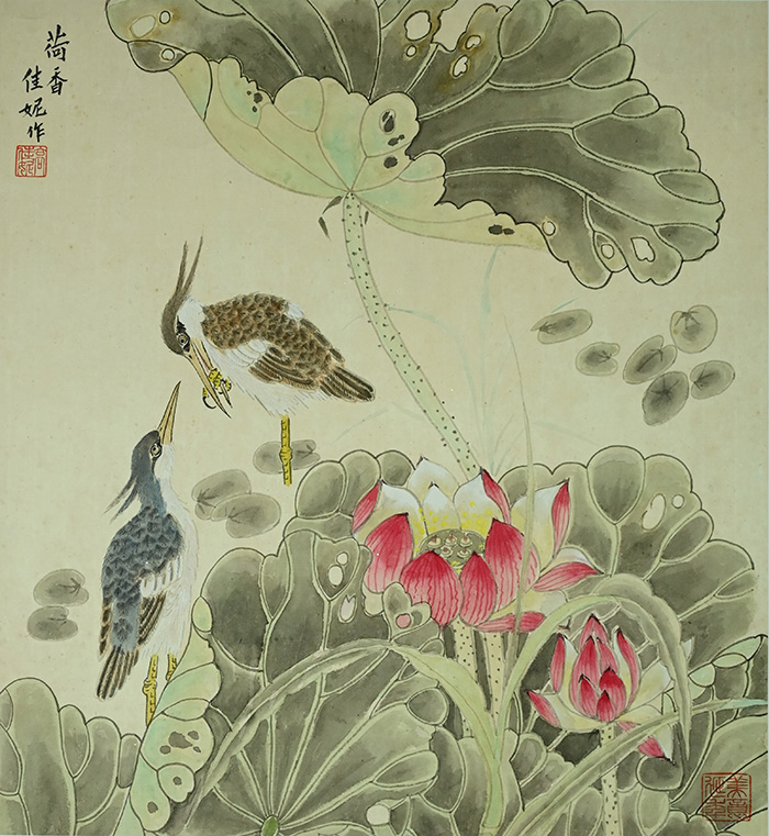 高佳妮.JPG