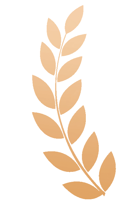 3.gif