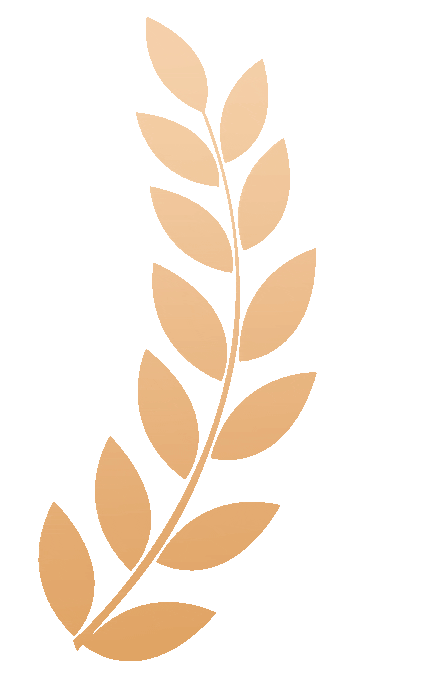 4.gif